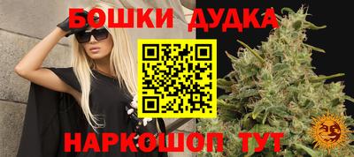 крисы Малоярославец