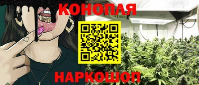крисы Малоярославец