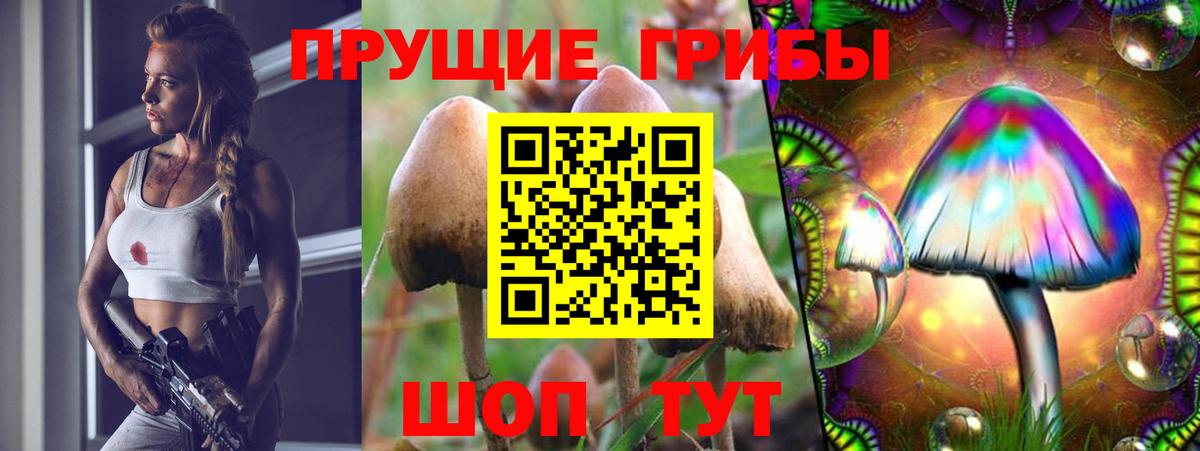 Псилоцибиновые грибы мицелий Арзамас